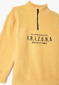 Pullover in pile giallo con colletto alto, chiusura con zip e testo stampato in nero che recita "A.R.I.Z.O.N.A" e coordinate. Struttura morbida.