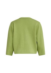 Groene gebreide trui met een ronde halslijn, lange mouwen en een rechte snit. Heeft een zachte textuur en geribbelde zoomdetails.