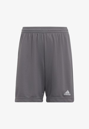 adidas Performance, ENTRADA - Športové šortky - grey