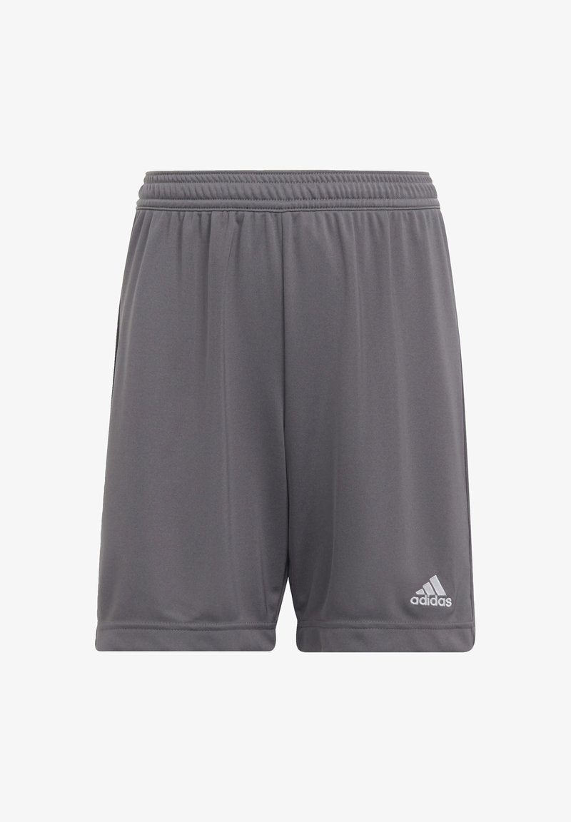 adidas Performance ENTRADA - Kurze Sporthose - grey