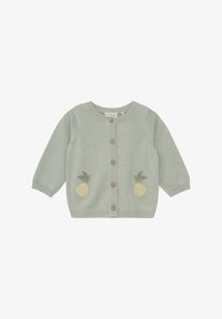 Ausgewählt, desert sage