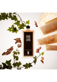 Bottiglia di profumo in vetro trasparente con tappo nero, caratterizzata da un'etichetta dorata con la scritta "Serge Lutens" e "Santal majuscule"; circondata da vegetazione e elementi testurizzati.