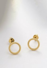 Guld hoopearrings med et snoet rebdesign, der har en poleret overflade og stiftbag. Cirkelformet, glat tekstur.