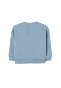 Felpa azzurra chiara in morbido tessuto, con maniche lunghe, polsini e orlo a coste, e dettaglio di bottoni sul retro. Texture liscia con design minimale.