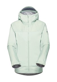 DUCAN GUIDE HS HOODED  - Giacca hard shell - silver sage