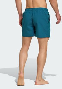 Bañador para hombres en un patrón de rayas azul y verde, con una cinturilla elástica y bolsillos laterales, fabricado con un material ligero.