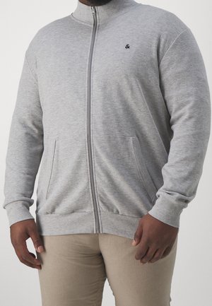 Zip-up sweatshirt - mottled light grey