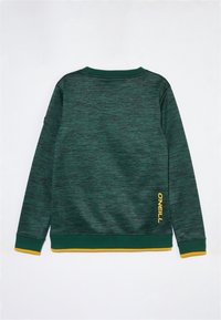 Maglione verde scuro melangiato con logo O'Neill giallo vicino all'orlo e rifiniture gialle sui polsini e sulla vita, sdraiato piatto mostrando il retro.