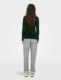 ONLY ONLKAROL ROLL NECK - Jumper - scarab