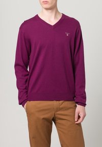 Lila Wolle V-Ausschnitt Pullover mit langen Ärmeln, gerippten Bündchen und Saum. Hat ein kleines Logo auf der Brust und sitzt über braunen Hosen.