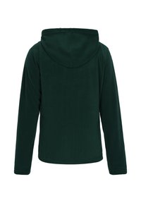 Felpa con cappuccio verde in pile, dalla texture morbida, con maniche lunghe e cappuccio. Il retro presenta una superficie liscia e continua, senza cuciture visibili.
