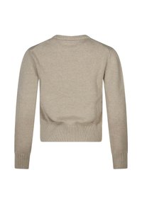 Maglione beige lavorato a maglia con maniche lunghe, polsini e orlo a coste, scollatura rotonda, texture morbida e vestibilità corta.