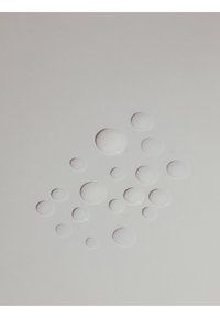 Immagine in miniatura 4