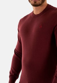 Maglione a girocollo bordeaux, realizzato in morbido tessuto a maglia, presenta un collo rotondo e maniche aderenti. Dettaglio del logo discreto sul petto.
