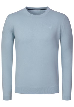 Pull bleu clair à manches longues et col rond, avec poignets et ourlet côtelés, présentant un logo brodé subtil sur la poitrine.