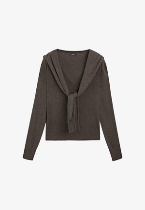 Brown knit sweater with a V-neck and a hood. Features long sleeves and a tie detail at the waist. Soft texture and fitted design.