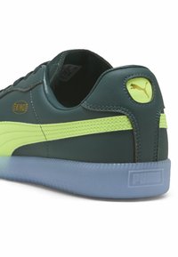 Roheline nahast spordijalgpall, millel on kollased aktsendid, tekstuuriga pealiskiht ja läbipaistev sinine tall. Omab "KING" logo ja Puma embleemi kontsar. 