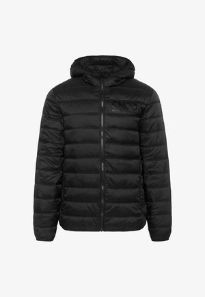 Camp David STEPP MIT KAPUZE - Winterjacke - black