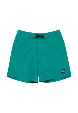 EVERYDAY SOLID VOLLEY - Short de bain - teal green
