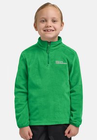 Grüner Fleece-Pullover mit kurzem Reißverschluss am Kragen, langen Ärmeln und einem Logo auf der Brust. Weiche Textur und reguläre Passform für Komfort.