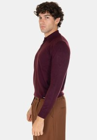 Polo a maniche lunghe color mogano con colletto, vestibilità slim, texture liscia. Indossato con pantaloni marroni, con chiusura frontale a bottoni.