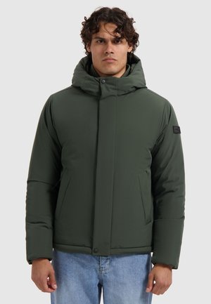 Donkergroene geïsoleerde jas met een hoge kraag en capuchon, uitgerust met zijzakken en een knoopsluiting. Gladde, matte textuur overal.