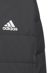 adidas Performance PAD - Giacca invernale - black