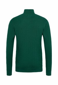Pull col roulé vert en maille torsadée avec manches longues, vu de dos sur fond blanc.