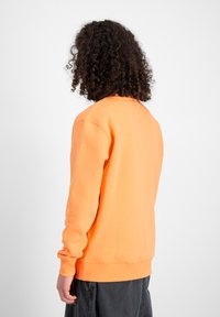 Orangenes Sweatshirt mit Rundhalsausschnitt, langen Ärmeln und gerippten Bündchen, von hinten gezeigt. Aus weichem Stoff mit glatter Textur gefertigt.