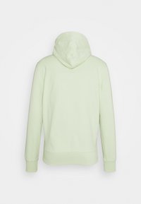 Světlá zelená mikina s kapucí, z pohledu vzadu, s klokankou a šňůrkou na stažení kapuce. Měkká tkanina a žebrované manžety.