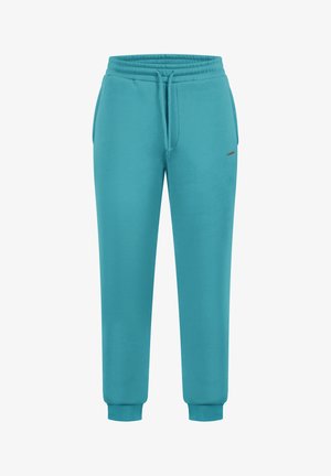 Turquoise sweatpants made of soft, smooth fabric. Features an elastic waistband with drawstring and fitted cuffs at the ankle.