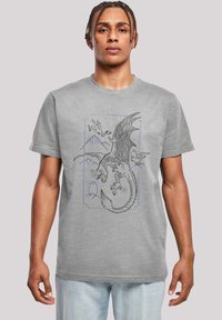Camiseta de algodón gris con un gráfico de dragón negro y azul rodeado de montañas y un huevo, con escote redondo y mangas cortas.