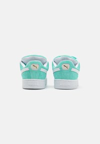 Puma UNISEX - Gördeszkacipők - mint/white