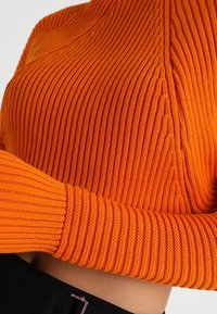 Pomarańczowy prążkowany krótki top z długimi rękawami, z teksturowanym wzorem i dopasowanymi mankietami. Brak widocznych detali z przodu.