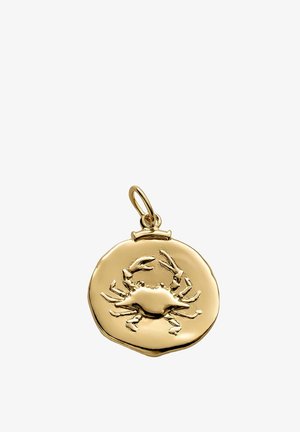 Colgante de cangrejo dorado con un diseño redondo texturizado y un grabado detallado del cangrejo. Incluye un pequeño lazo para su sujeción.