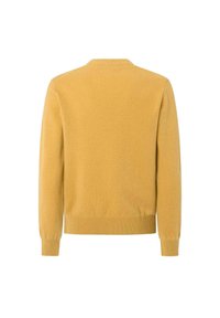 Hořčicově žlutý svetr s dlouhým rukávem z pleteniny zobrazený zezadu, s vroubkovanými manžetami, lemem a límcem.