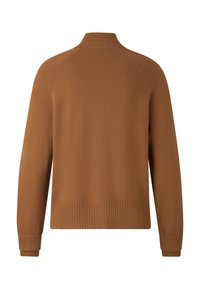 Brown knitted sweater with a high neck, ribbed cuffs, and hem. Smooth texture with raglan sleeves, featuring minimal detailing on the back.
