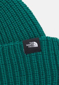 The North Face FISHERMAN BEANIE UNISEX - Megzta kepurė - evergreen