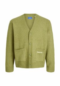 JORNORREBRO - Chaqueta de punto - olive drab