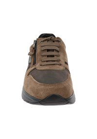 Brąsowe buty sportowe z zamszowym i materiałowym wierzchem, z przodu sznurowane oraz z boku z zamkiem błyskawicznym dla łatwego zakładania. Okrągły czubek i czarna gumowa podeszwa.