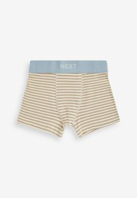Next 10 PACK STANDARD - Panties - mineral dinosaur