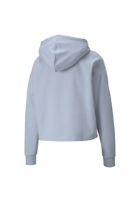 Lichtblauwe kortgebouwde hoodie met lange mouwen en geribbelde manchetten, van achteren afgebeeld tegen een witte achtergrond.