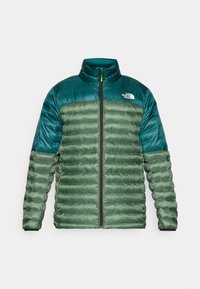 TERRA PEAK JACKET - Blouson - duck green/deep nori