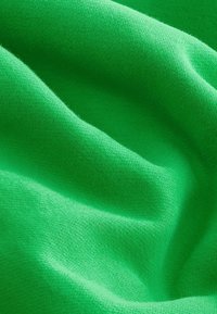 Next Hoodie - green