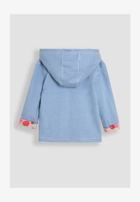 Unausgewählt, cornflower blue ladybird