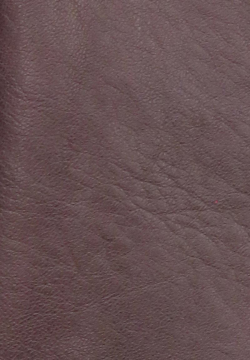 Damen Leichte Jacken | Mustang INDIANA Lederjacke wine/bordeaux - NM50582 Damen Leichte Jacken | Mustang INDIANA Lederjacke wine/bordeaux - NM50582