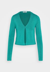 Tyrkysový kardigan s dlouhým rukávem, hlubokým výstřihem do V a jedním knoflíkem. Vyrobeno z měkkého, hladkého materiálu s krátkým střihem.