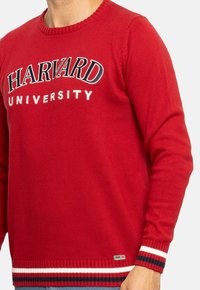 EMBLEMS SITY - Jersey de punto - rubí