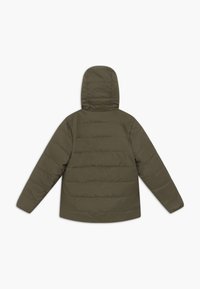 Patagonia REVERSIBLE READY FREDDY HOODY UNISEX - Casaco de inverno - basin green
