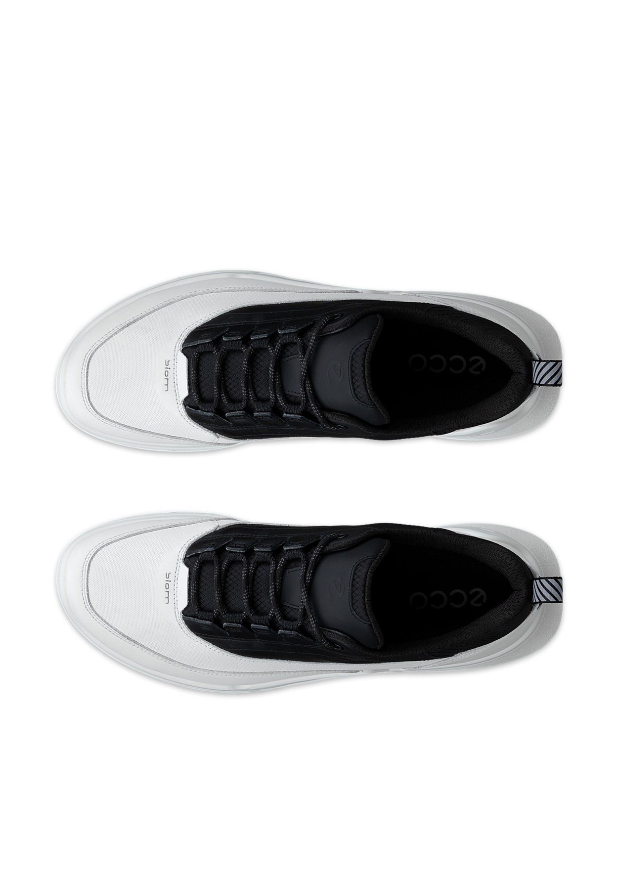 BIOM 720